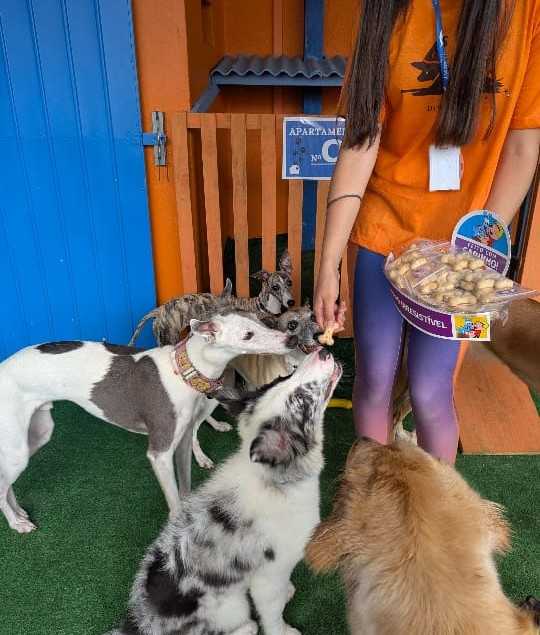 Pet Shop Landing Image