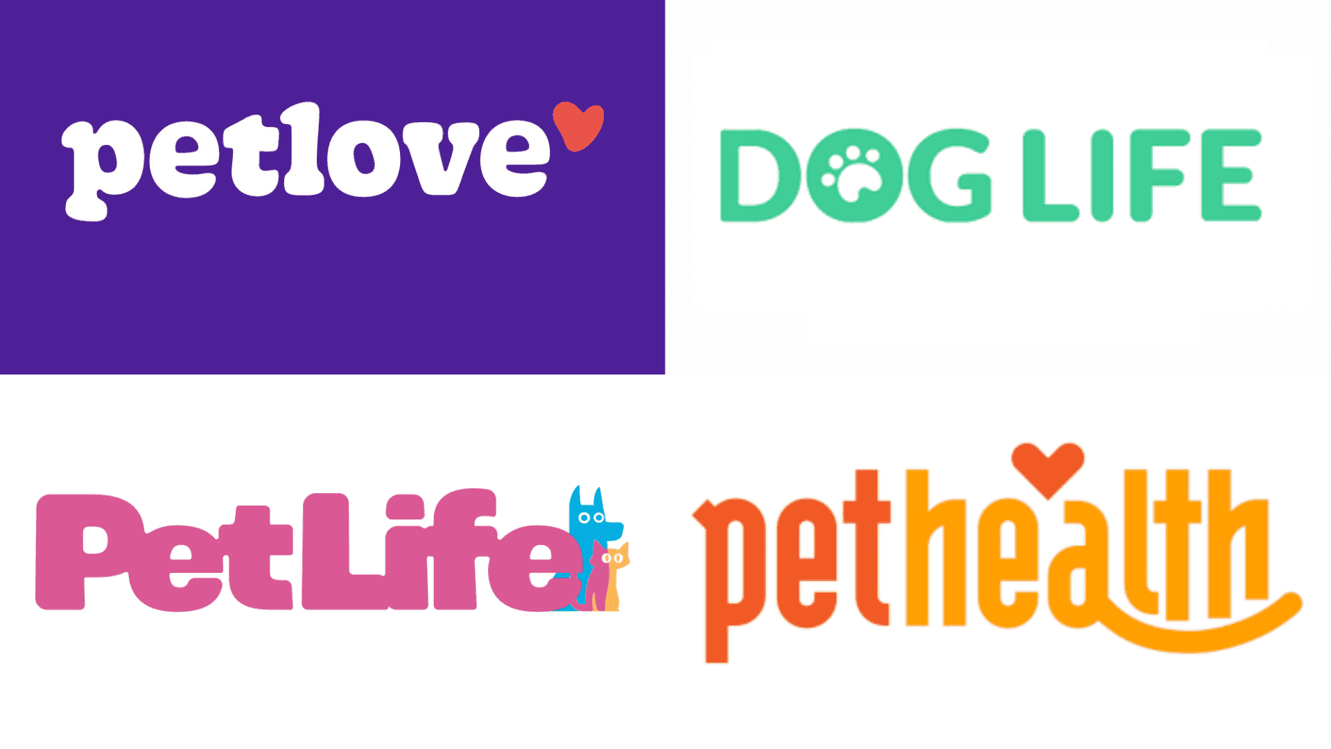 Cachorros felizes na creche pet interagindo com tutor